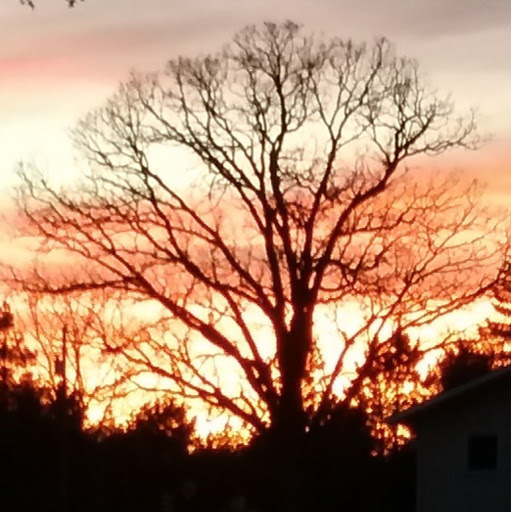 Steve Mathison Photo 13