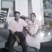 Sheree Lambert Photo 7