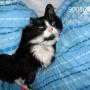 Cathy Richardson Photo 8