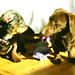 Janet Wiener Photo 17