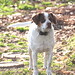 Dee Conner Photo 20