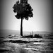 Don Workman Photo 15