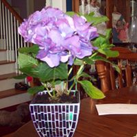 Nita Mcdaniel Photo 4