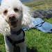 Bobby Archie Photo 11