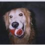 Michael Loper Photo 31
