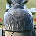 Melissa Fender Photo 24
