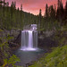 Gary Rowell Photo 14
