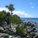 Andrew Stjohn Photo 8