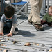 Greg Shell Photo 9
