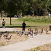 Sue Levin Photo 15