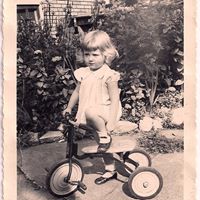 Nancy Korn Photo 15