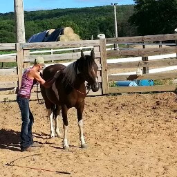Lisa Dewitt Photo 6