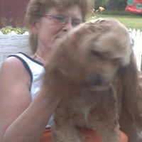 Sheila Spence Photo 25