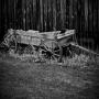 Chad Lane Photo 46