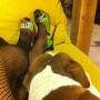 Monica Thompson Photo 25