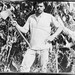 Joseph Bushman Photo 22