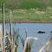 Debbie Graber Photo 16
