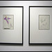 Max Schaffer Photo 16