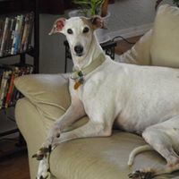 Patsy Ruth Photo 25