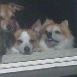 Brenda Quick Photo 31