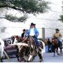 Heather Stout Photo 35