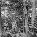 Allen Arthur Photo 37