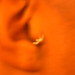 Bryan Hurt Photo 12