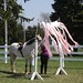 Gail Quinn Photo 37