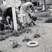 Roy Goodwin Photo 32