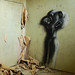 Robert Brandenburg Photo 11