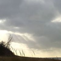Samuel Lang Photo 32