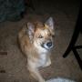 Elizabeth Dehart Photo 15