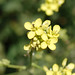 Timothy Flora Photo 9