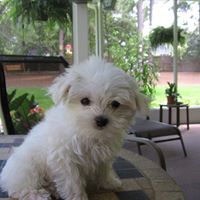 Linda Kimbrell Photo 15
