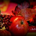 Francis Perdue Photo 10