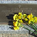 Jamie Graves Photo 30
