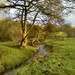 Rose Gill Photo 19