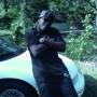 Eddie Polk Photo 27