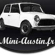 Mini Austin Photo 3