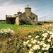 Donald Land Photo 16