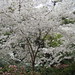 Nancy Norton Photo 38