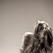 Carrie Sharp Photo 21