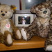 Sue Borne Photo 16