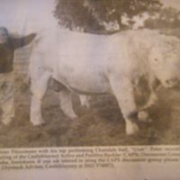 John Comiskey Photo 18