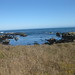 Lisa Norris Photo 13