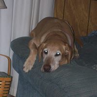 Janet Keyser Photo 12