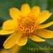 Ellen Flowers Photo 19