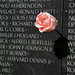 Rose Nigro Photo 11