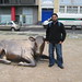 Ahmad Sadiq Photo 17