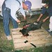 Stephen Slaughter Photo 19